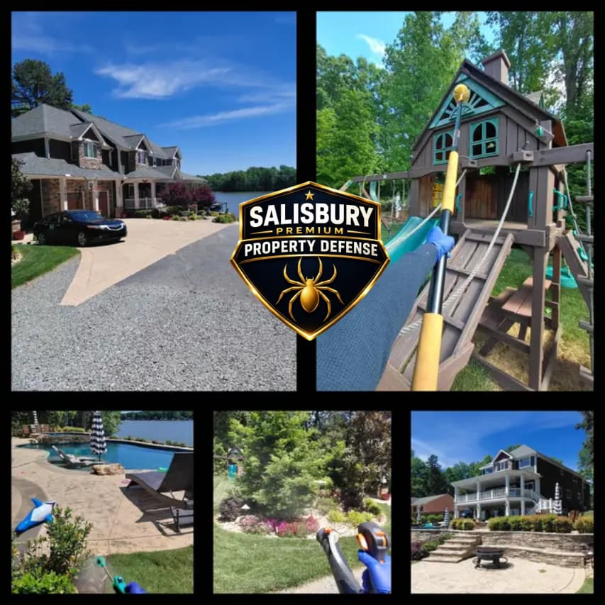 Lake-area Salisbury homes serviced by Salisbury Premium Property Defense — exterior, playset detailing, pool deck, landscape, and rear elevation