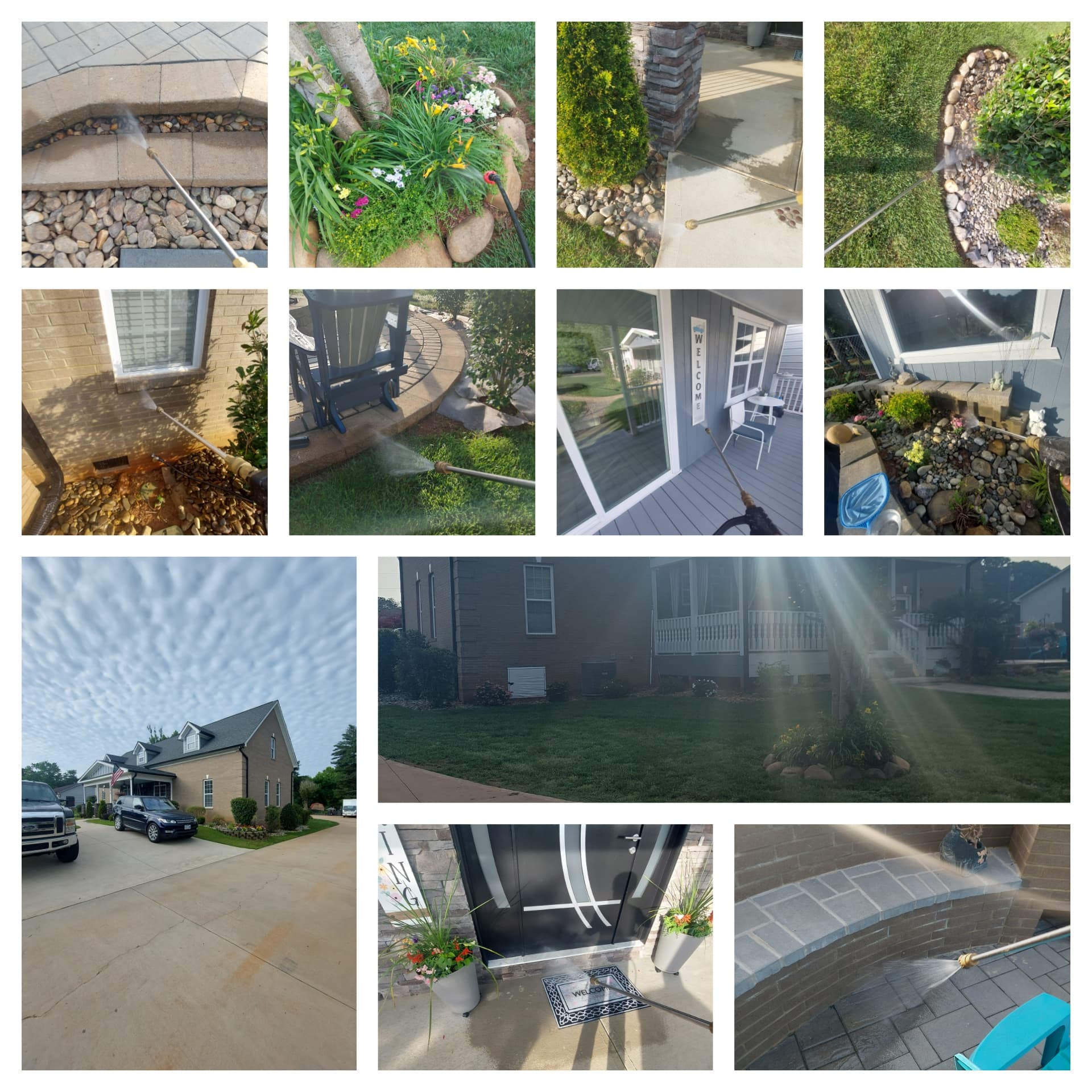 Yard and perimeter mosquito + ant work