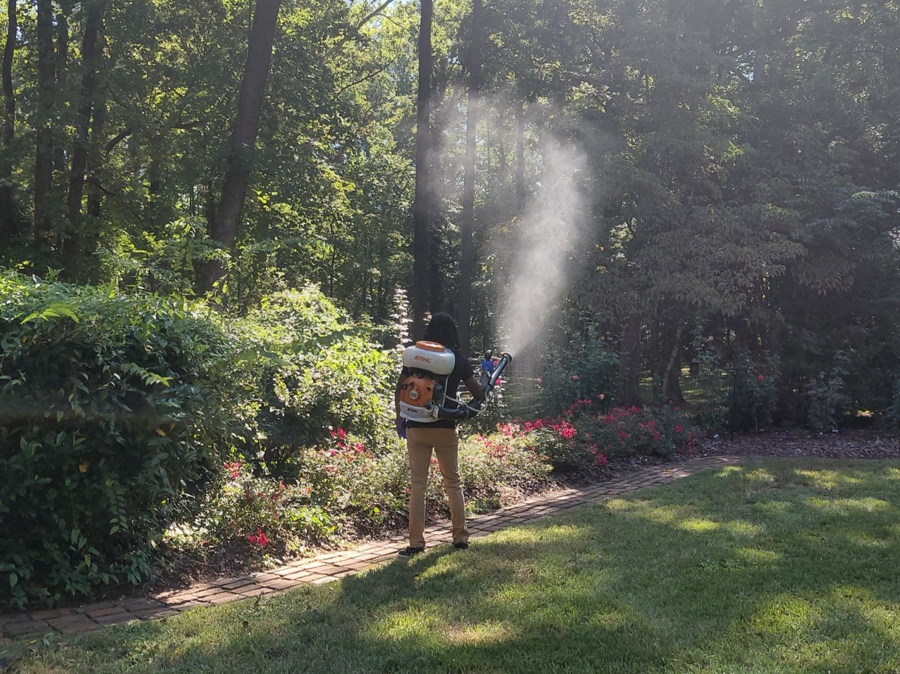 Exterior pest prevention in Salisbury, NC — treating a wooded backyard and landscape beds with a backpack mist blower